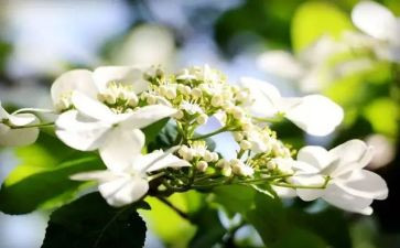 教师学年度述职报告范文7篇