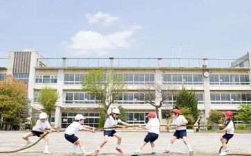 大学生年度学生个人总结报告7篇