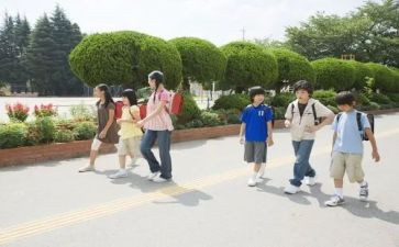 自我鉴定学生500字5篇