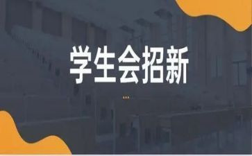 学生会个人工作总结和计划7篇