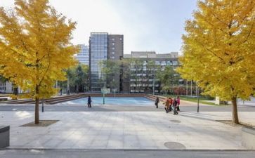 学校食堂年终工作总结7篇