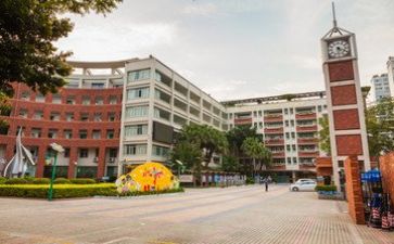 学校出纳工作总结个人总结优秀8篇