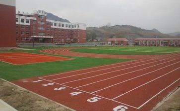 学校自我鉴定表的自我鉴定300字8篇