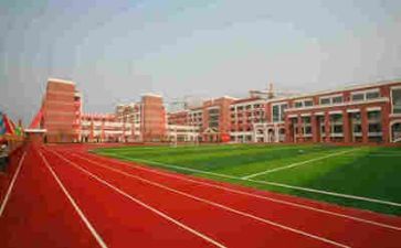 学校生活个人总结5篇