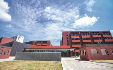 个人在学校的述职报告范文5篇
