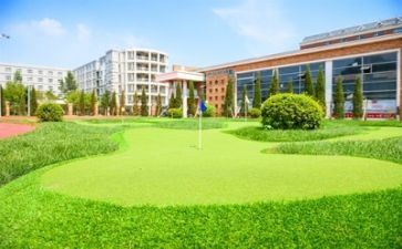 学校教研处工作总结6篇
