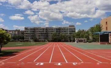 学校上半年工作总结5篇
