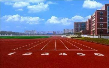 教师对学校调研报告5篇