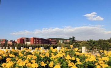 学校月工作总结6篇