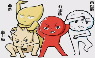 血液科个人总结7篇