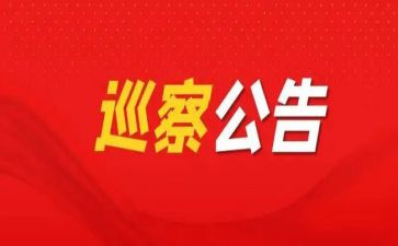 巡察组巡察工作总结8篇