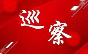 对巡察组工作汇报材料5篇