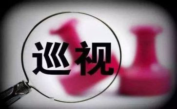 巡查员的工作总结7篇