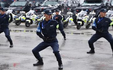 特巡警个人工作总结8篇