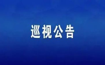 巡视工作报告8篇