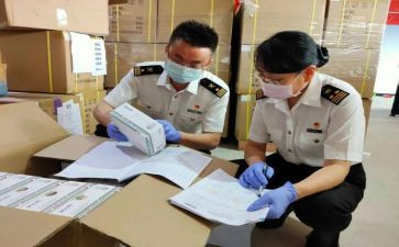 2024年检验员工作总结范文6篇