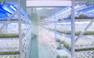 西药库工作总结8篇