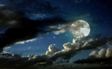 记承天寺夜游教案最新6篇