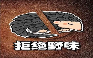 远离野味演讲稿6篇