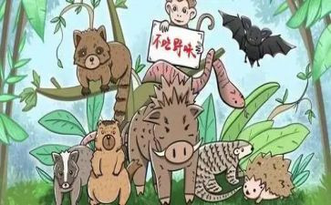敬畏自然拒绝野味的演讲稿7篇
