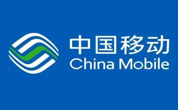 移动公司经理述职报告6篇