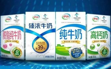 参观伊利心得体会7篇