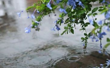 幼儿园雨雪天安全教育教案6篇
