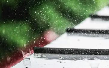 大班语言《秋天的雨》教案优质7篇