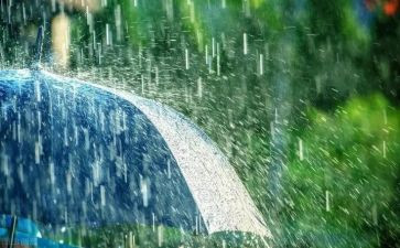 幼儿园24节气雨水教案8篇