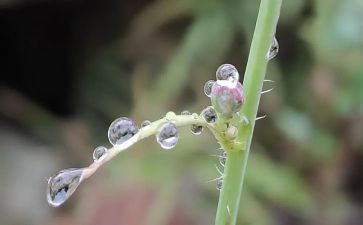 雨雪天的安全教案优质5篇
