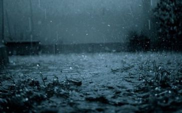 曹禺雷雨读后感7篇
