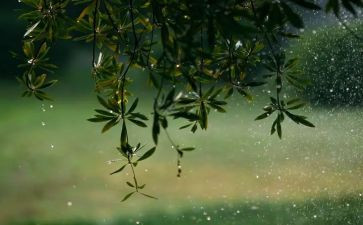 雨雪天的安全教案8篇
