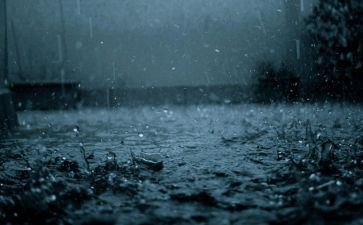 会变色的雨教案优质8篇