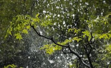 糖果雨作文300字5篇
