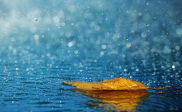 会变色的雨教案5篇