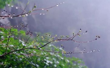 等雨停作文5篇