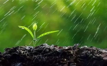 雨雪天气的安全教案5篇