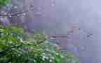 关于雨的音乐教案6篇