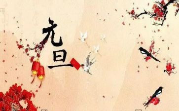 关于元旦活动的总结8篇