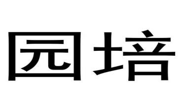 幼儿园培训心得模板8篇