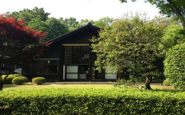 幼儿园园物工作总结5篇
