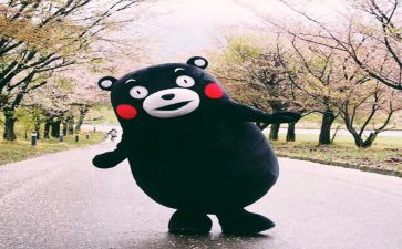 读书的喜悦演讲稿6篇