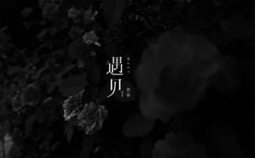 遇见那只猫作文8篇
