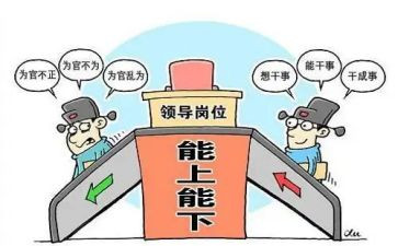 2024副镇长工作总结5篇