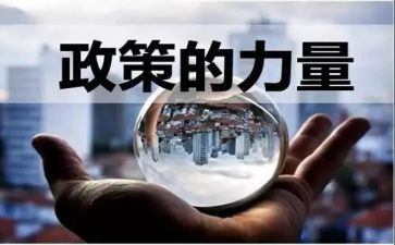 教师落实双减政策心得体会8篇