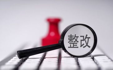 2024巡视整改个人对照材料7篇