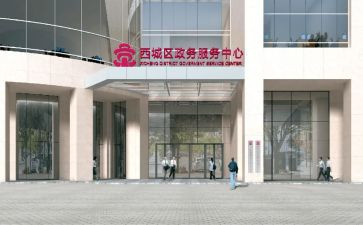 政务年终总结6篇