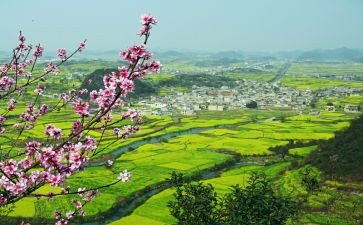 2024乡村振兴培训心得7篇