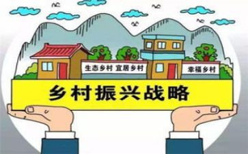 乡村这振兴调研报告6篇
