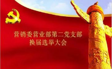 社区党支部换届选工作总结8篇